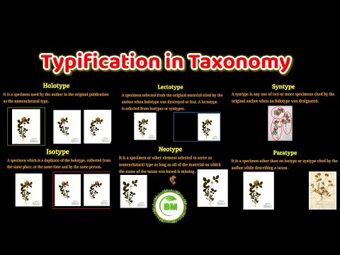 Typification in taxonomy | holotype, Isotype, Lectotype, syntype, neotype, paratype | #taxonomy