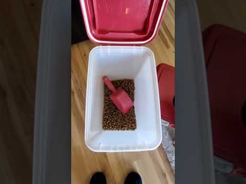 Best Dog Food Container