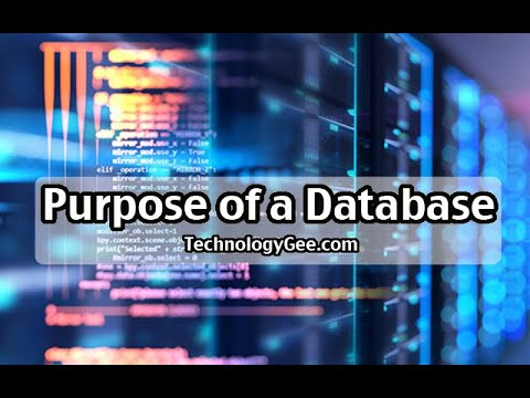 Purpose of a Database | CompTIA IT Fundamentals FC0-U61 | 5.1