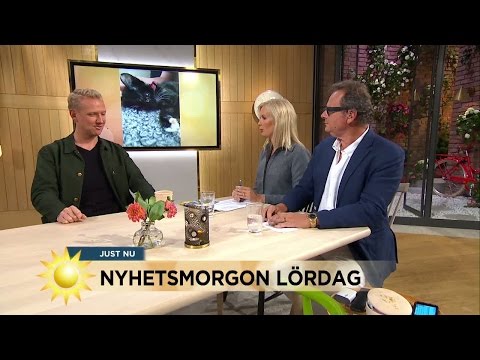 Nyhetsmorgon lördag - Jesper Börjesson tillbaks - Nyhetsmorgon (TV4)