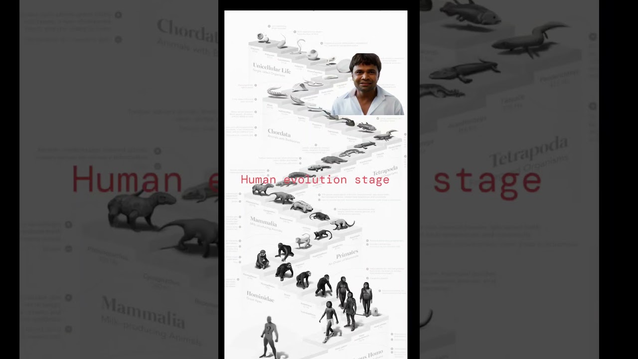 Human evolution stage #evolution #kanawatacademyofficial #viralvideo