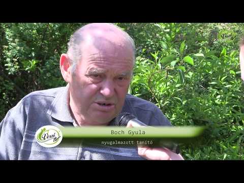 MESÉL A NYÁRÁDMENTE - Nyárádremete