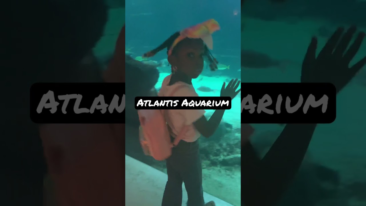 Beautiful Atlantis Bahamas Aquarium