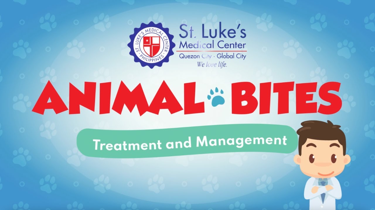 Animal Bites: Treatment and Management