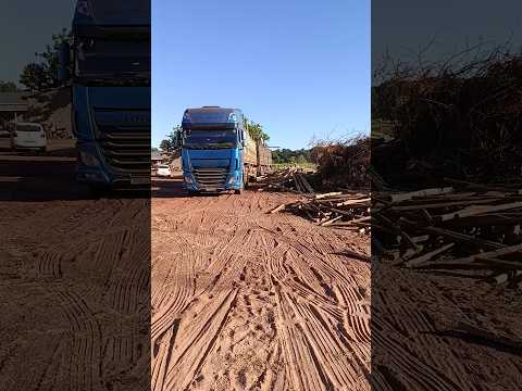 Descarregando estacas de eucalipto em Tupirama Tocantins Brasil!