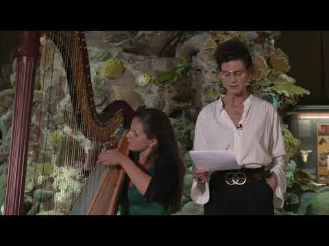 Von Mensch und Meer - Die Rolle des Ozeans für das Leben: Musikalische Lesung und Vortrag (deutsch)