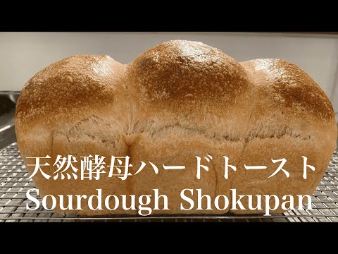 SUB)自家製天然酵母ハードトースト/イギリスパン/山食パン/たった四つの材料でフランスパン生地の食パン/リーンな食パン/ Sourdough Shokupan Baguette Hard Toast