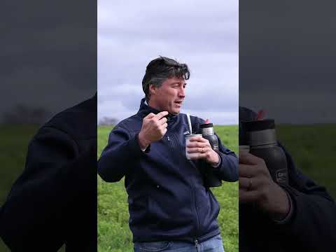 Pasturas 2025 | Teaser