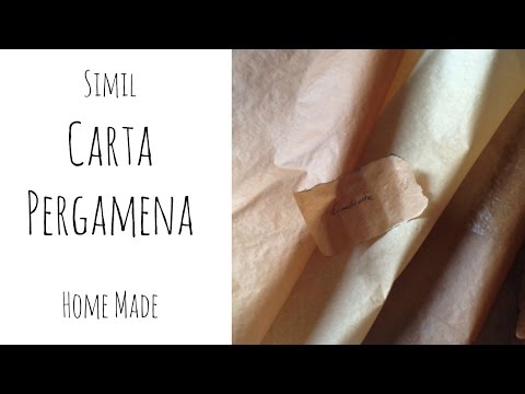 100 fogli pretagliati per cottura a vapore Carta da forno per grigliate pane a prova di olio Taglia libera Natural Color barbecue friggitrice antiaderenti resistenti al calore