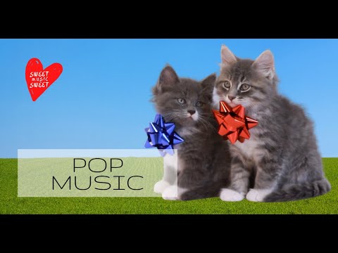 Pop Music ( Cool Cats - Family Kush ) #popmusic #children