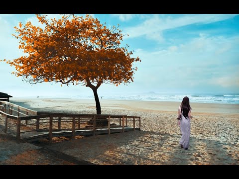 Những mùa Thu phân ly - Hồng Tước