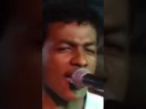 Te Amo, Te extraño - Orquesta Guayacan