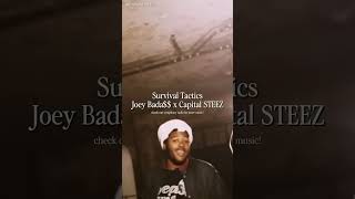 Survival Tactics Joey Bada$$ x Capital STEEZ  #music #soulnova  #hiphopartist #rap #jazz  #hiphop