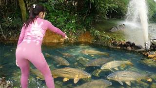 Create a Fish Trap, Uses Bait to Attract Fish Into The Puddle, Drain The Water Catch Many Big Fish