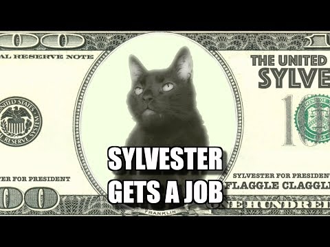 Talking Kitty Cat #67.5 - Sylvester Gets A Job