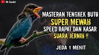 Download lagu MASTERAN TENGKEK BUTO SUPER MEWAH || SPEED RAPAT DAN KASAR !! mp3