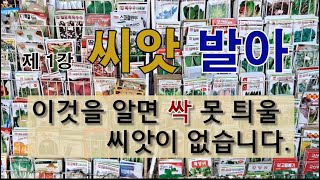 제1강 씨앗 발아 이것을 알면 싹 못 틔울 씨앗이 없습니다. 씨앗 쉽게 싹 틔우는 방법.