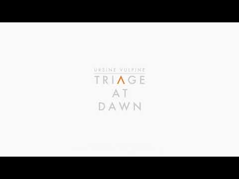 Triage At Dawn Cover - Ursine Vulpine - The Final Hours Of Half-Life: Alyx