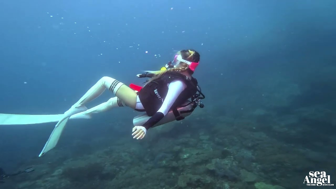Dive into the Depths: Exploring the Hidden Wonders of the Ocean 🌊🐠