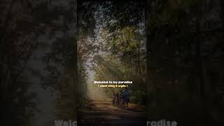 Download lagu #storywa #tiktok #cupcut #welcometomyparadise #dailykang_sinyal#steven&thecoconuttreez mp3 Download lagu #storywa #tiktok #cupcut #welcometomyparadise #dailykang_sinyal#steven&thecoconuttreez mp3