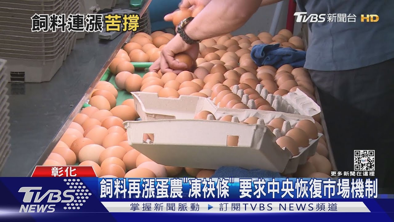 飼料再漲蛋農「凍袂條」要求中央恢復市場機制