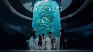 คอร์ดเพลง กลางมหาสมุทร เล็ก รัชเมศฐ์