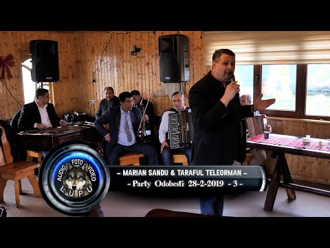 Caliu de la Clejani & Marian Sandu & Taraful Teleorman - Party la Odobesti 28.12.2019 - 3 -