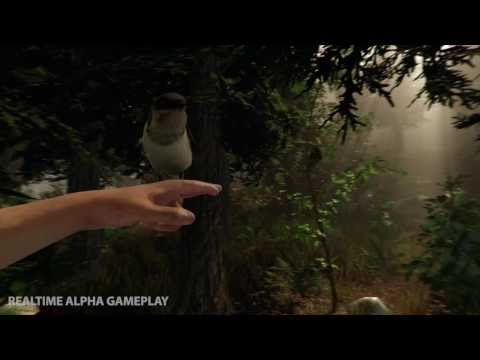 Игра The Forest для Oculus Rift научит вас выживать в лесу. Фото.