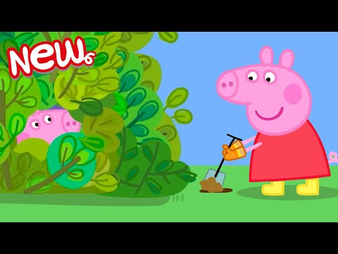 Peppa Pig Tales 🌳 The Garden Den! 🏕 BRAND NEW Peppa Pig Episodes