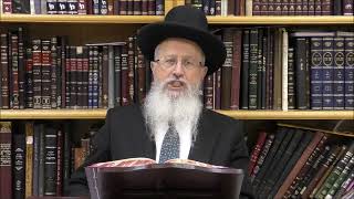 הגאון הרב אברהם יוסף שליט"א האם אדם המרכיב משקפיים יהיה חייב להוריד אותם כשמברך על הנר בהבדלה (הרב אברהם יוסף) - התמונה מוצגת ישירות מתוך אתר האינטרנט יוטיוב. זכויות היוצרים בתמונה שייכות ליוצרה. קישור קרדיט למקור התוכן נמצא בתוך דף הסרטון