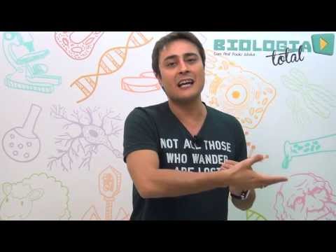 Microrganismos, Vacina e Soro - Resumão ENEM Biologia - Prof. Paulo Jubilut