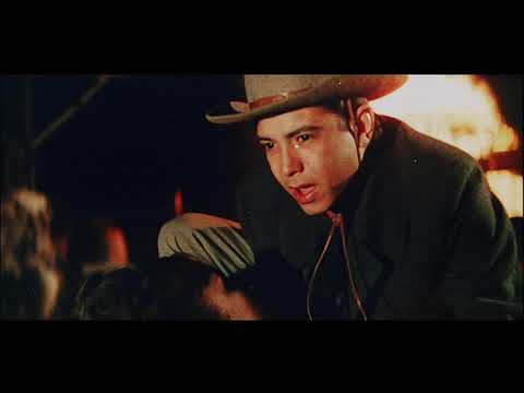Трейлер