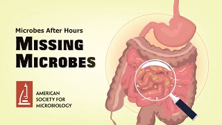 Missing Microbes with Dr Martin Blaser