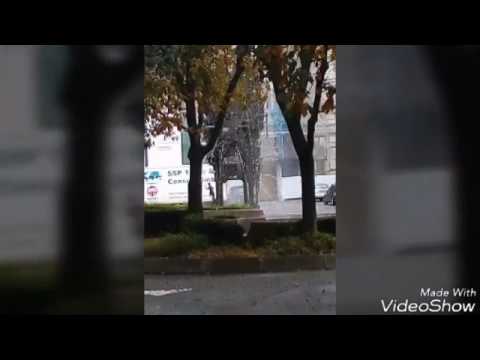 FSV Mainz 1-1 RSCA 20/10/2016