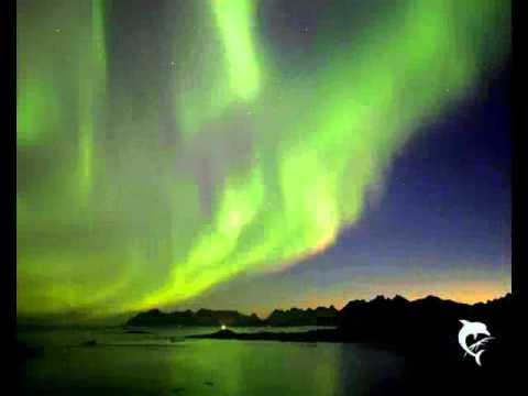 Picco feat. Afrojack - Vengastreets