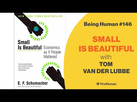 #146 SMALL IS BEAUTIFUL - TOM VAN DER LUBBE | Being Human