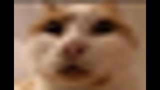 erm somethings wrong with my III intro help