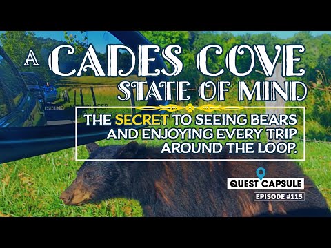 A CADES COVE State of Mind - SECRET To Seeing Bears and ENJOYING Every Trip Around The Loop