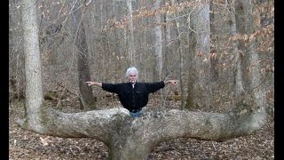 Mystery of the bent trees around America