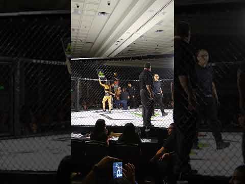 VID 20190324 000402713