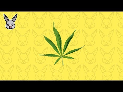 SEX Type Beat x Travis Scott Type Beat ‘MARY JANE’