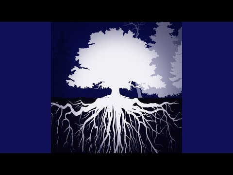 Nad Nettą (feat. Robert Cichy)