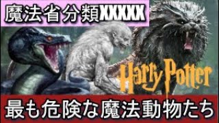 最も危険な魔法生物まとめ 魔法省分類xxxxx ハリーポッター ファンタスティックビースト موقع ويب حيث يمكنك مشاهدة مقاطع فيديو موسيقية مجانية