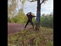Jiri Prochazka Hits The Tree 500 Times A Day