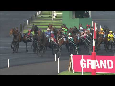 2013 PRIX AMERIQUE - LA COURSE - ROYAL DREAM
