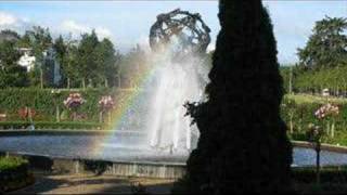 You Belong In the Sun