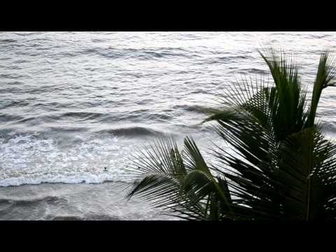 Beach view from Divyank / Bhavin's House - Vid 4
