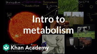 Introduction to metabolism: anabolism and catabolism | Khan Academy