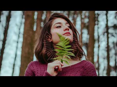 ES Too Much for Ya   waykap