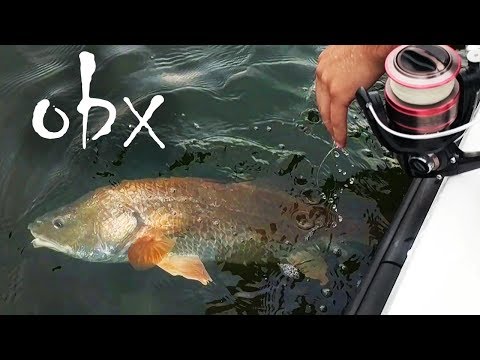 download lagu mp3 mp4 Sound Fishing, download lagu Sound Fishing gratis, unduh video klip Sound Fishing